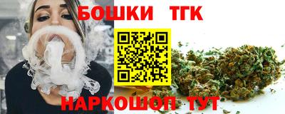 индика Кинель